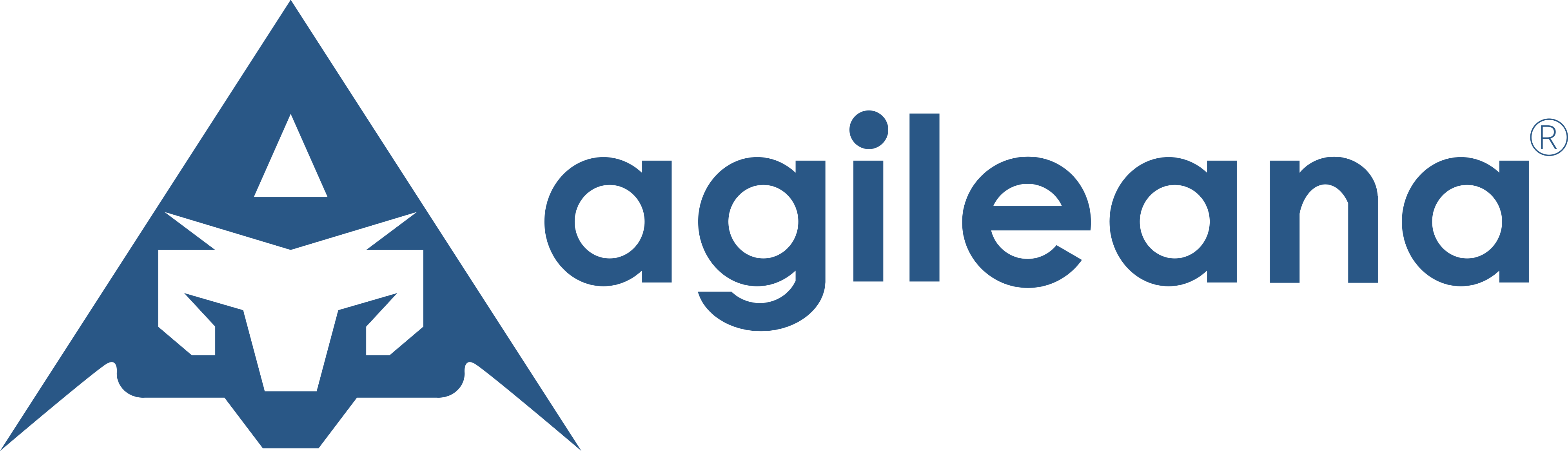 Agileana logo