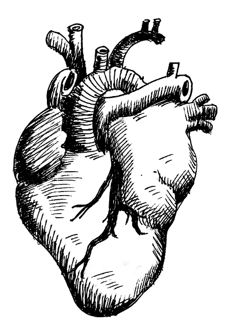 Heart