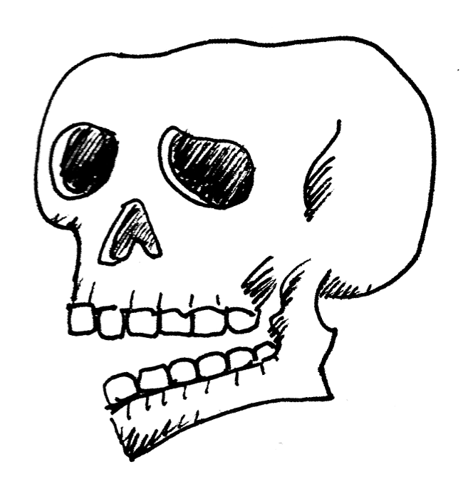 Skull