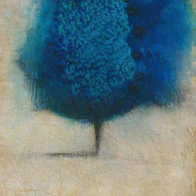 andrea_omitsis's picture